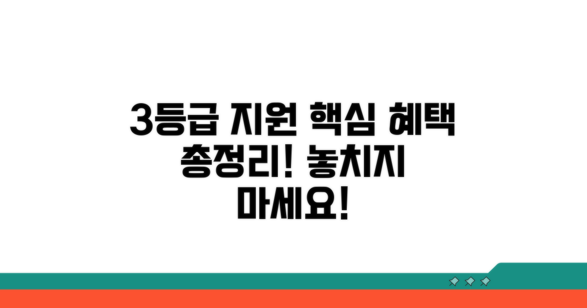3등급 지원 내용 상세 분석