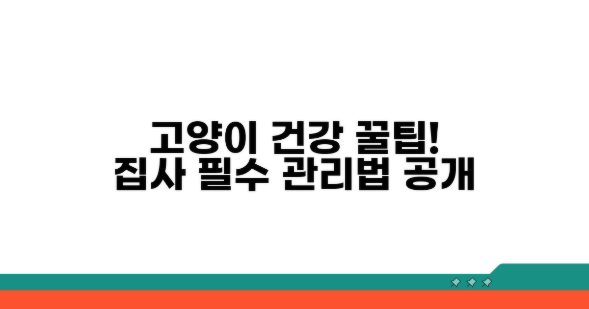 반려묘 건강 지키는 관리법