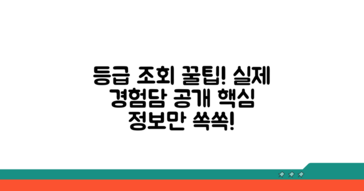 등급 조회 실제 경험 후기