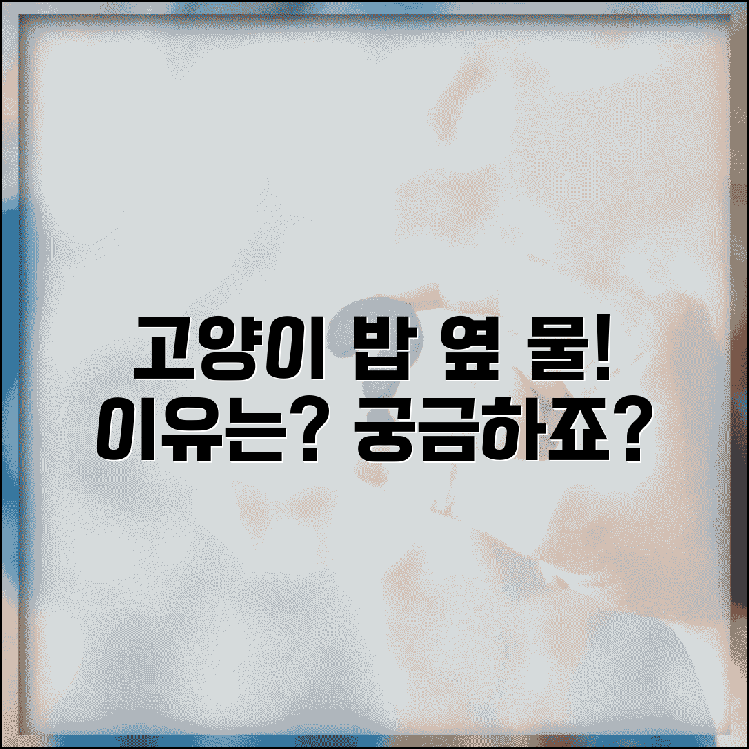 고양이가 밥그릇 옆에서만 물 마시는 이유가 뭔가요 | 고양이 식수 | 급식습관 | 행동