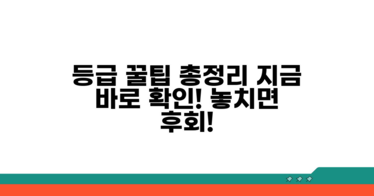 등급 활용 꿀팁까지 총정리