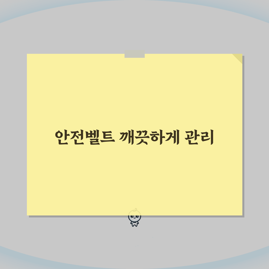자동차 안전벨트 청소 방법 세제 세척: 차 시트벨트 얼룩 제거 꿀팁